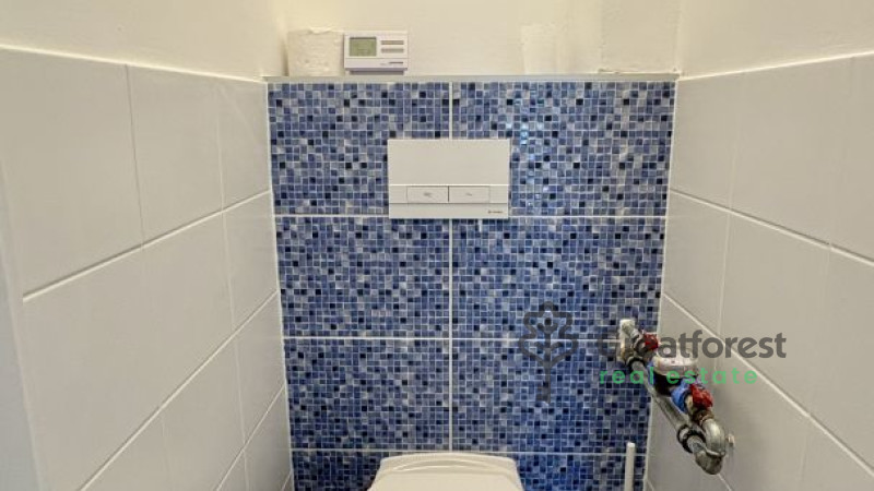 Debrecen, Greatforest Area, flat  