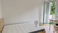 Debrecen, Greatforest Area, flat  