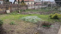 Debrecen, Józsa(Lower), family house  