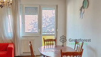 Debrecen, Greatforest Area, flat  
