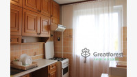 Debrecen, Greatforest Area, flat  
