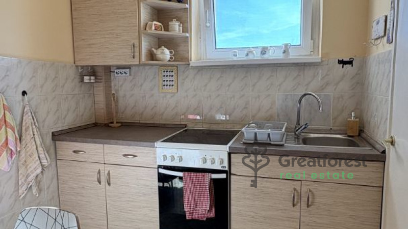 Debrecen, Greatforest Area, flat  