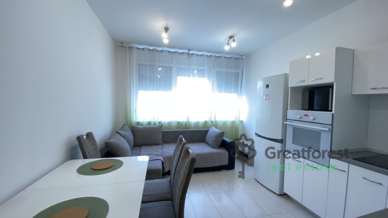 Debrecen, City Center, flat  