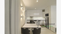 Debrecen, City Center, flat  