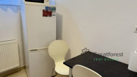 Debrecen, Close To Main Campus, flat  