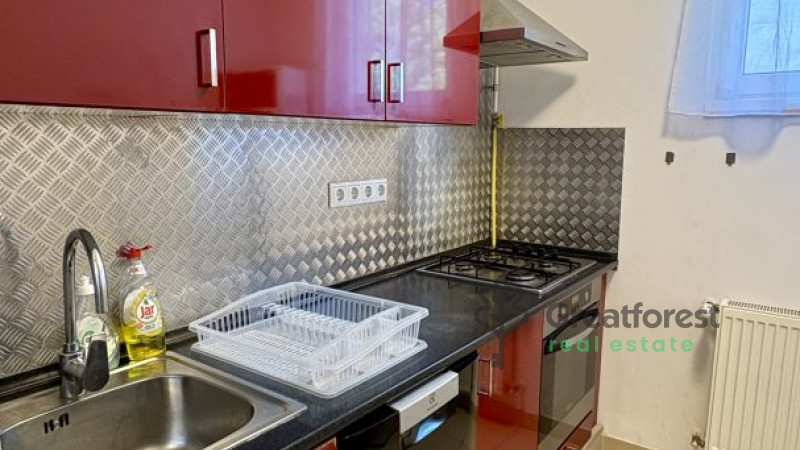 Debrecen, Close To Main Campus, flat  