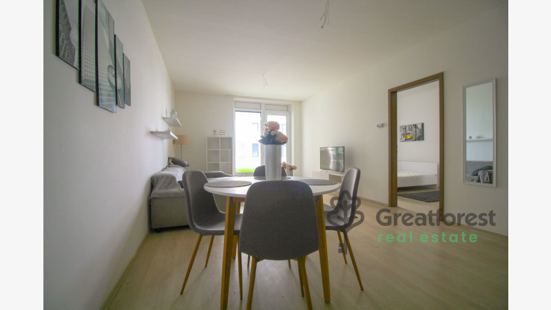Debrecen, City Center, flat  