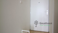 Debrecen, City Center, flat  