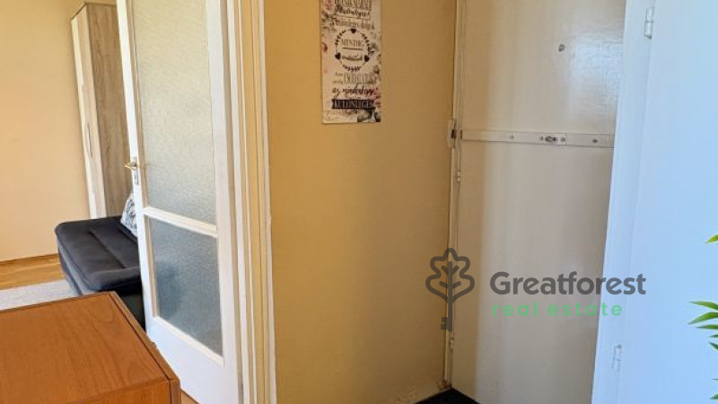 Debrecen, Greatforest Area, flat  
