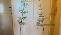 Debrecen, Greatforest Area, flat  