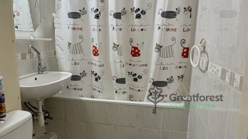 Debrecen, Greatforest Area, flat  