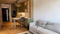 Debrecen, Close To Main Campus, flat  