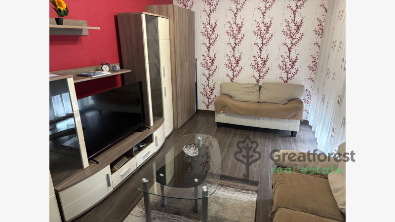 Debrecen, City Center, flat  