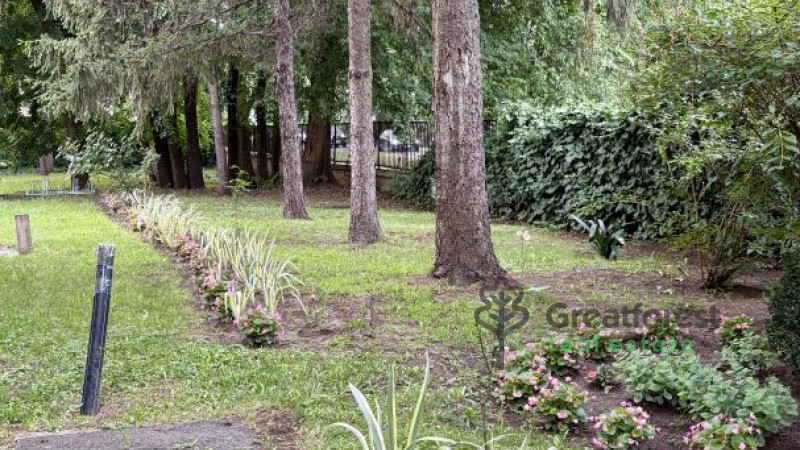 Debrecen, Greatforest Area, flat  