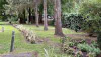 Debrecen, Greatforest Area, flat  