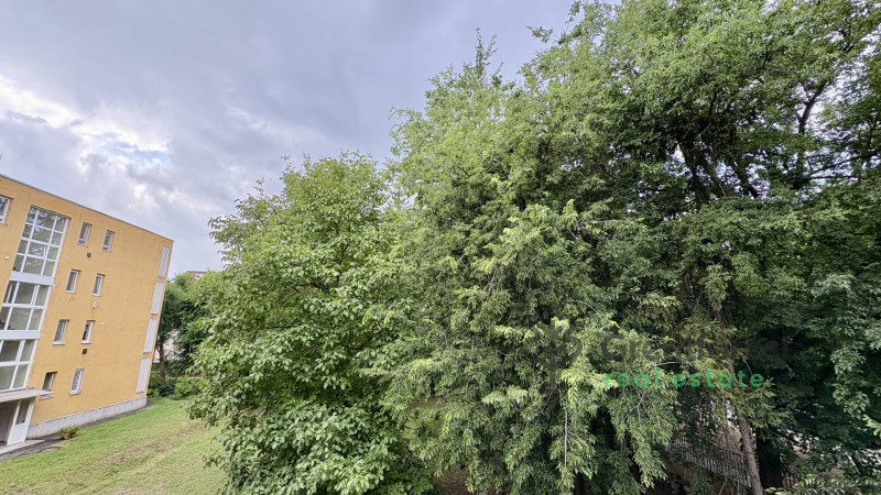 Debrecen, Greatforest Area, flat  