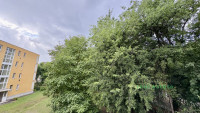 Debrecen, Greatforest Area, flat  