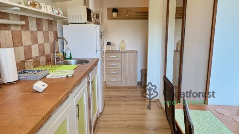 Debrecen, Close To Main Campus, flat  