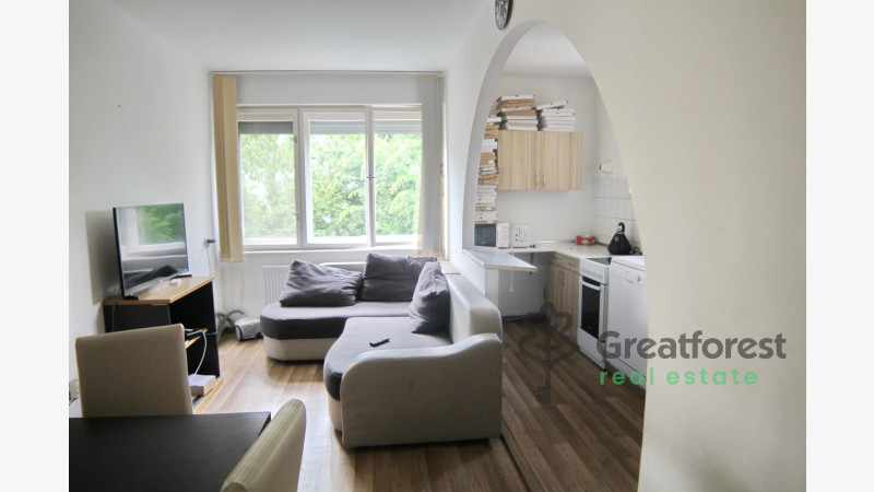 Debrecen, Close To Main Campus, flat  