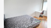 Debrecen, Close To Main Campus, flat  