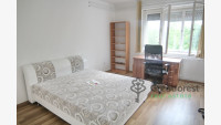 Debrecen, Close To Main Campus, flat  