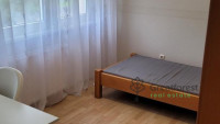 Debrecen, Close To Main Campus Agricult. Unversity, block of flats  
