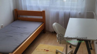 Debrecen, Close To Main Campus Agricult. Unversity, block of flats  