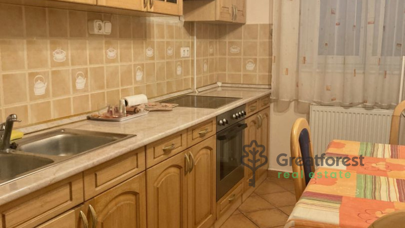 Debrecen, City Center, flat  