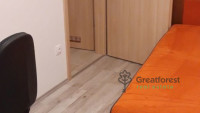 Debrecen, Close To Plaza, flat  