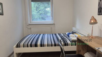Debrecen, Close To Main Campus, flat  