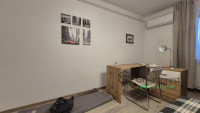 Debrecen, Close To Main Campus, flat  