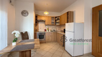 Debrecen, Bem Square, flat  