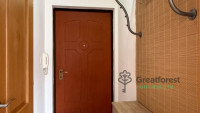 Debrecen, Bem Square, flat  