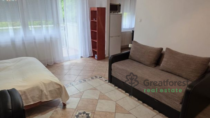 Debrecen, Main Campus Area, flat  