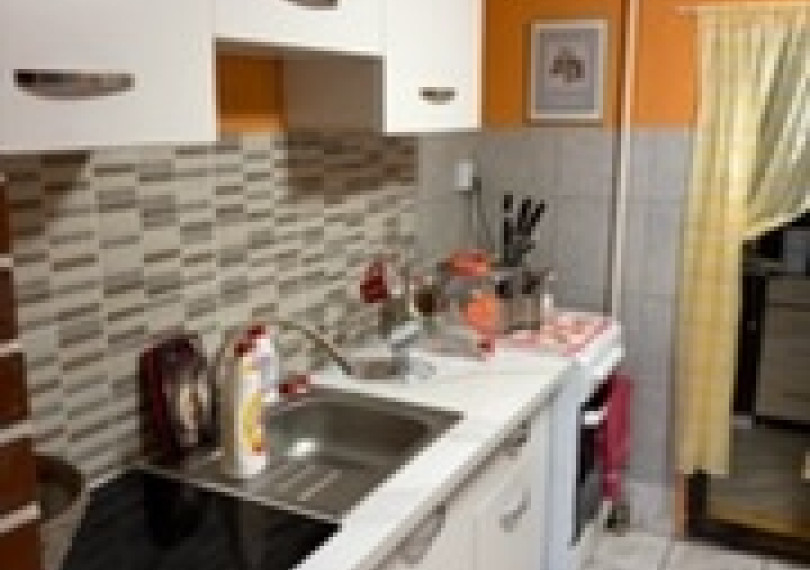 Family House