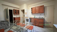 Debrecen, Close To City Center, flat  