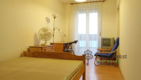Debrecen, Close To Main Campus Agricult. Unversity, block of flats  