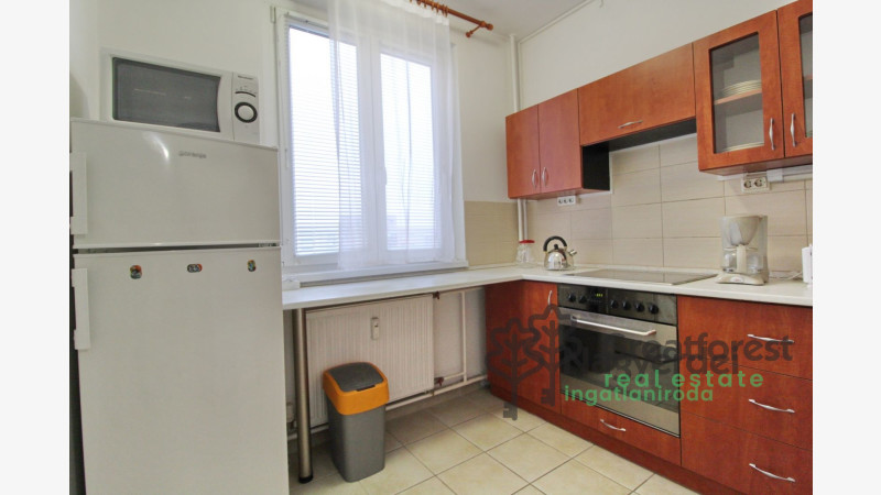 Debrecen, Close To Main Campus Agricult. Unversity, block of flats  