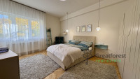 Debrecen, City Center, flat  