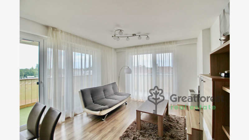 Debrecen, Close To Main Campus, flat  