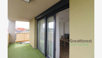 Debrecen, Close To Main Campus, flat  