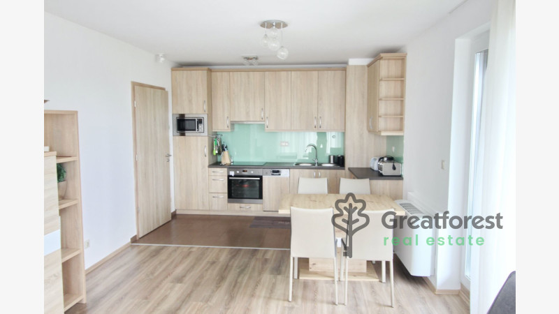 Debrecen, Close To Main Campus, flat  