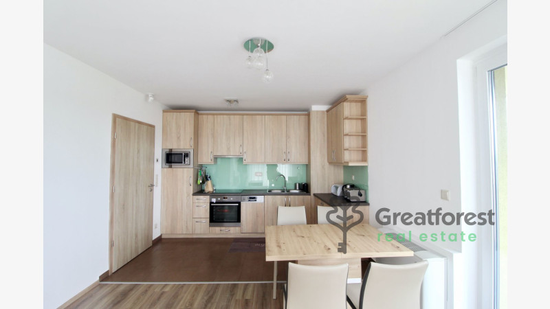 Debrecen, Close To Main Campus, flat  