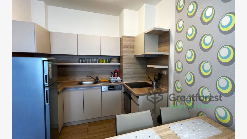 Debrecen, Close To Main Campus, flat  