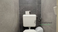 Debrecen, Greatforest Area, flat  