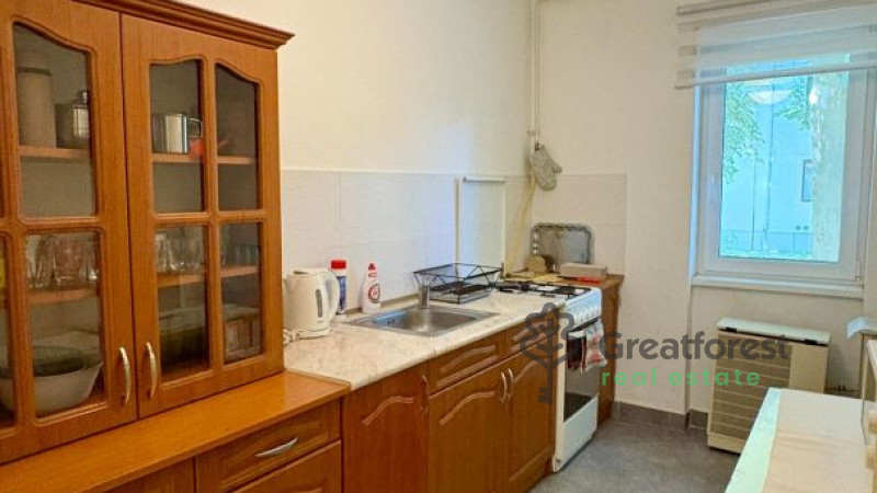 Debrecen, Greatforest Area, flat  