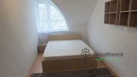 Debrecen, flat  