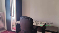 Debrecen, City Center, flat  