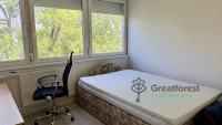Debrecen, Close To Main Campus, flat  
