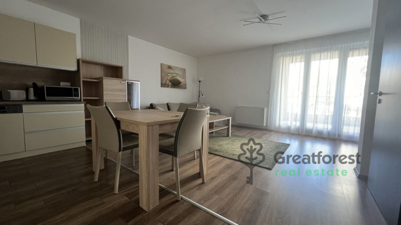 Debrecen, Close To Main Campus, flat  